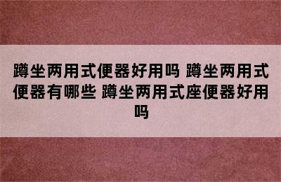 蹲坐两用式便器好用吗 蹲坐两用式便器有哪些 蹲坐两用式座便器好用吗